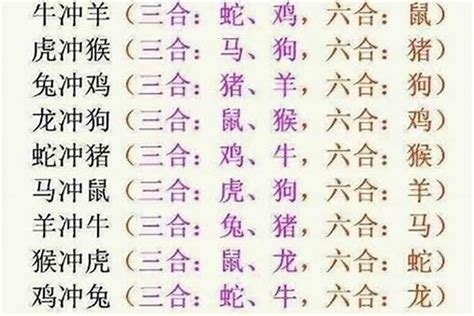 狗和兔|12生肖狗和兔合不合 六合生肖合得来